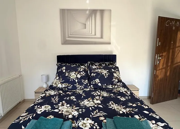 Rodo * 폴라니카-즈루이